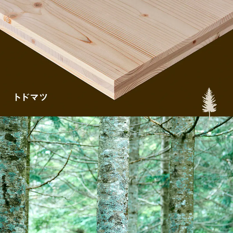 ナラ